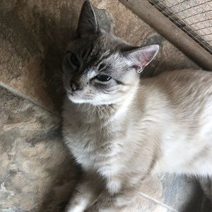 Meet your Posher, Emma